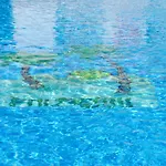 Apartamentos El Palmeral